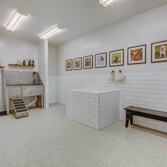 Encore Apartments - State-of-the-Art Pet Spa